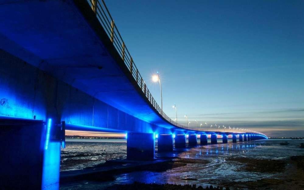 Mer A 200M,,Ds Les Mimosas En Fleur ! Ronce-les-Bains Eksteriør bilde